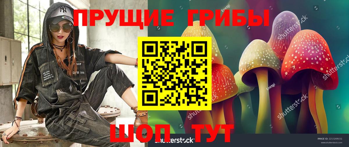 Шарыпово  Псилоцибиновые грибы Psilocybe  Вход с VPN  Галлюциногенные грибы Magic Shrooms 